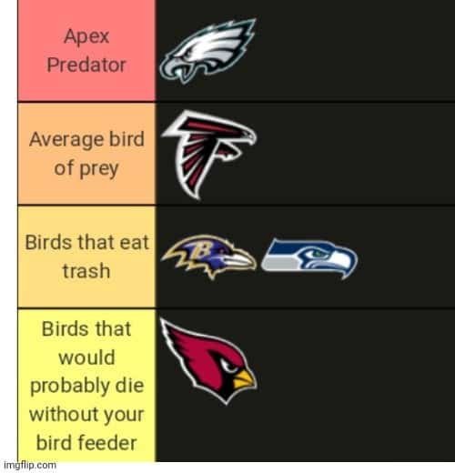 How Many Bird Teams are in the Nfl