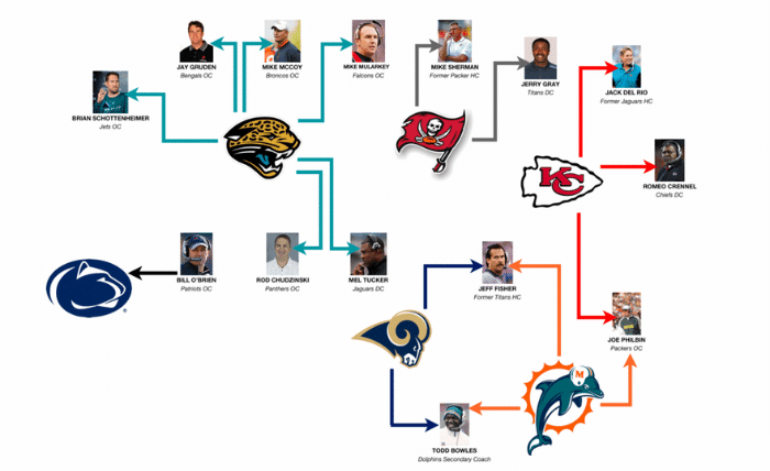 how many cat teams are in the nfl