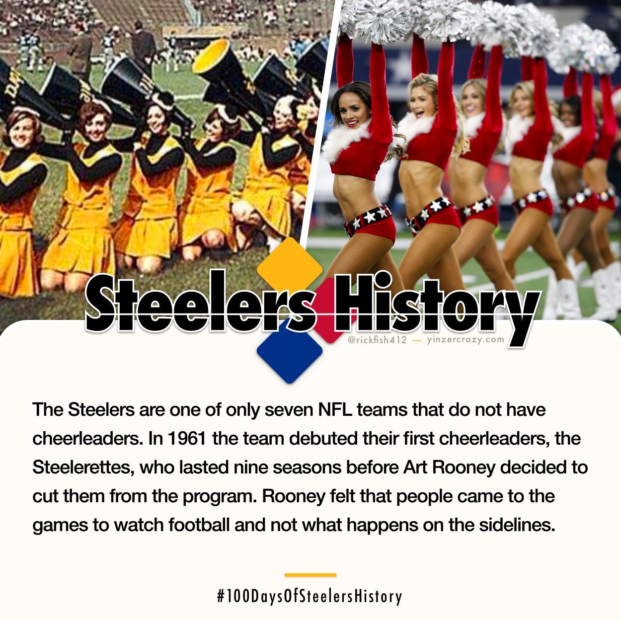 What Nfl Team Does Not Have Cheerleaders